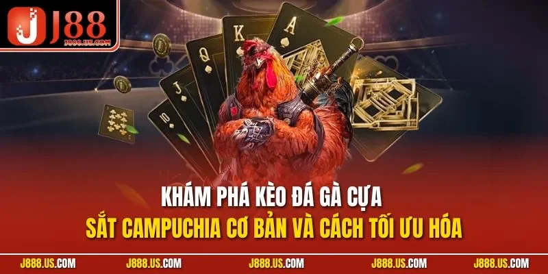 Khám phá kèo đá gà cựa sắt Campuchia cơ bản và cách tối ưu hóa